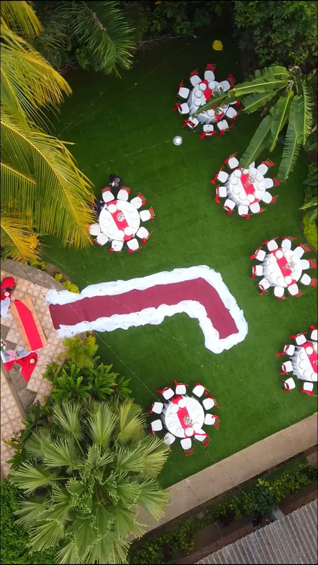 Vista aérea del jardín con alfombra roja y mesas redondas